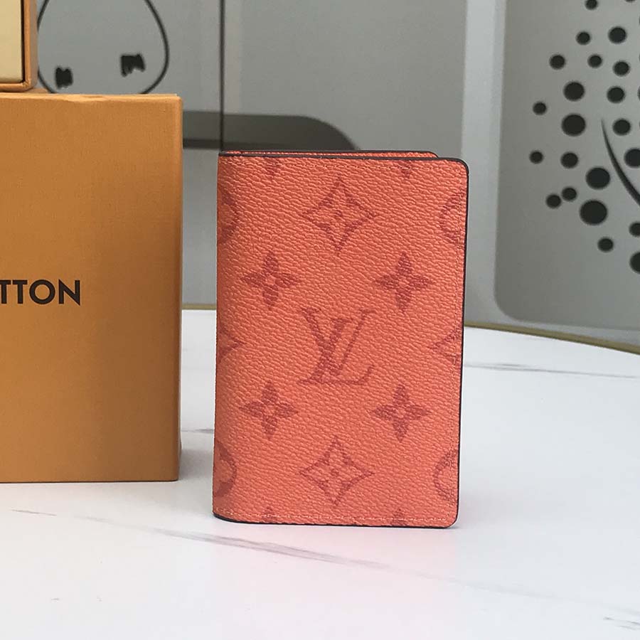 Organizador de bolsillo Louis Vuitton M30301-13