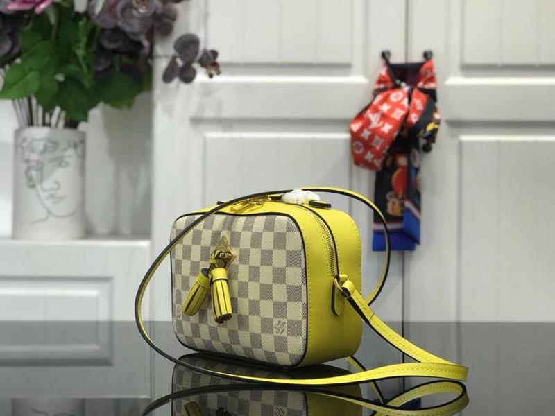 Louis Vuitton Saintonge M44593-9