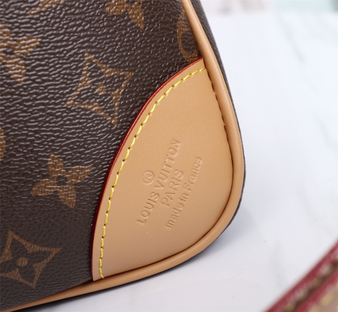 Louis Vuitton AA-ODEON MM M45352 NEGRO/NATURAL-12