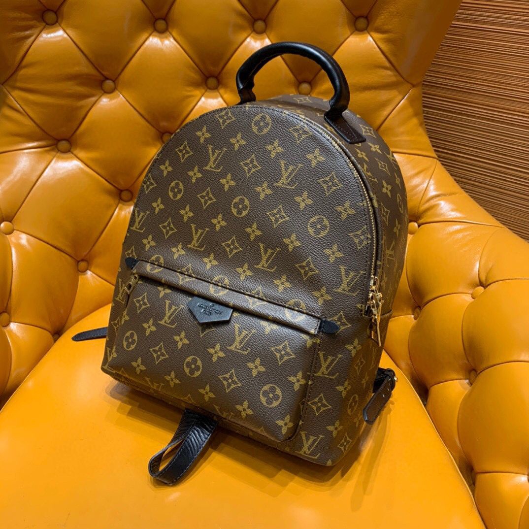mochila Louis Vuitton Palm Springs-9