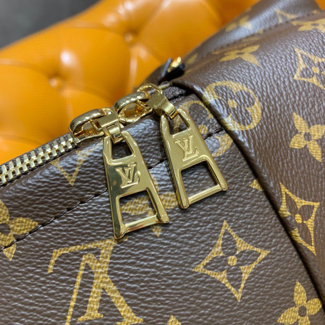 mochila Louis Vuitton Palm Springs-10