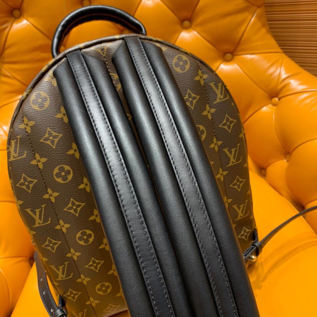 mochila Louis Vuitton Palm Springs-11