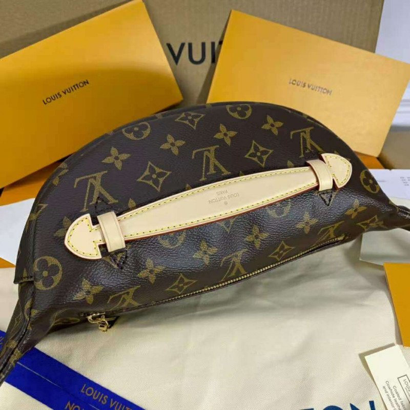 Louis Vuitton Monogram Canvas BumBolsa M43644-3