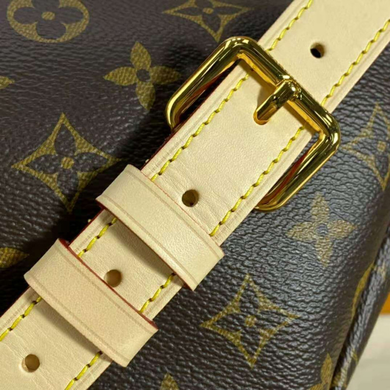 Louis Vuitton Monogram Canvas BumBolsa M43644-9
