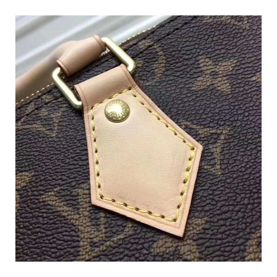 lona lona de monogram de Louis Vuitton Speedy 25 M41109-5