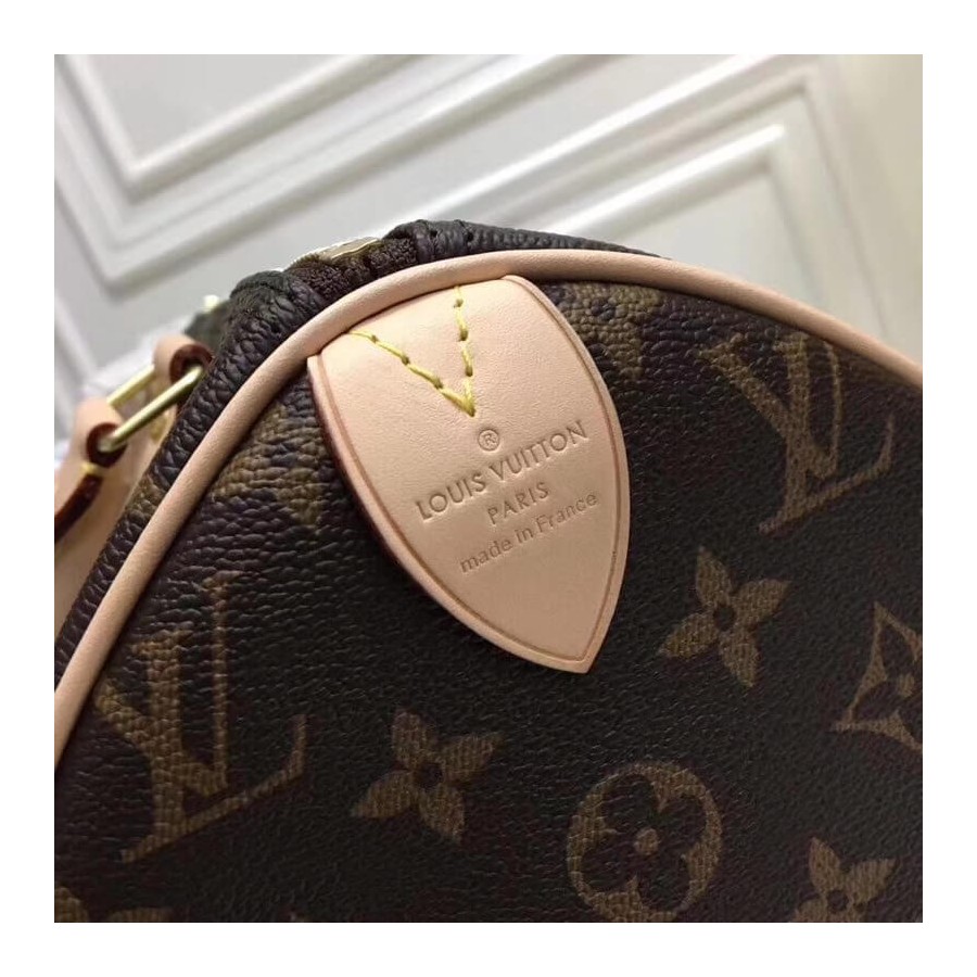 lona lona de monogram de Louis Vuitton Speedy 25 M41109-6