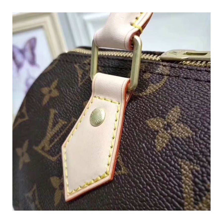 Louis Vuitton Monogram Canvas Speedy Bandouliere 25 M41113-6