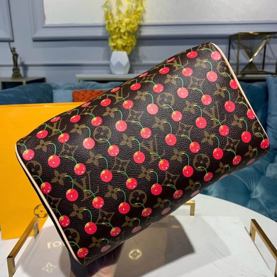 Louis Vuitton Monogram Cerises Speedy 25 M41108-4
