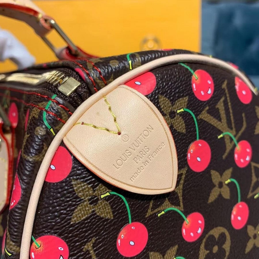 Louis Vuitton Monogram Cerises Speedy 25 M41108-7