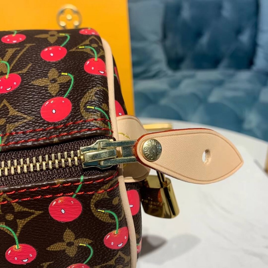 Louis Vuitton Monogram Cerises Speedy 25 M41108-8
