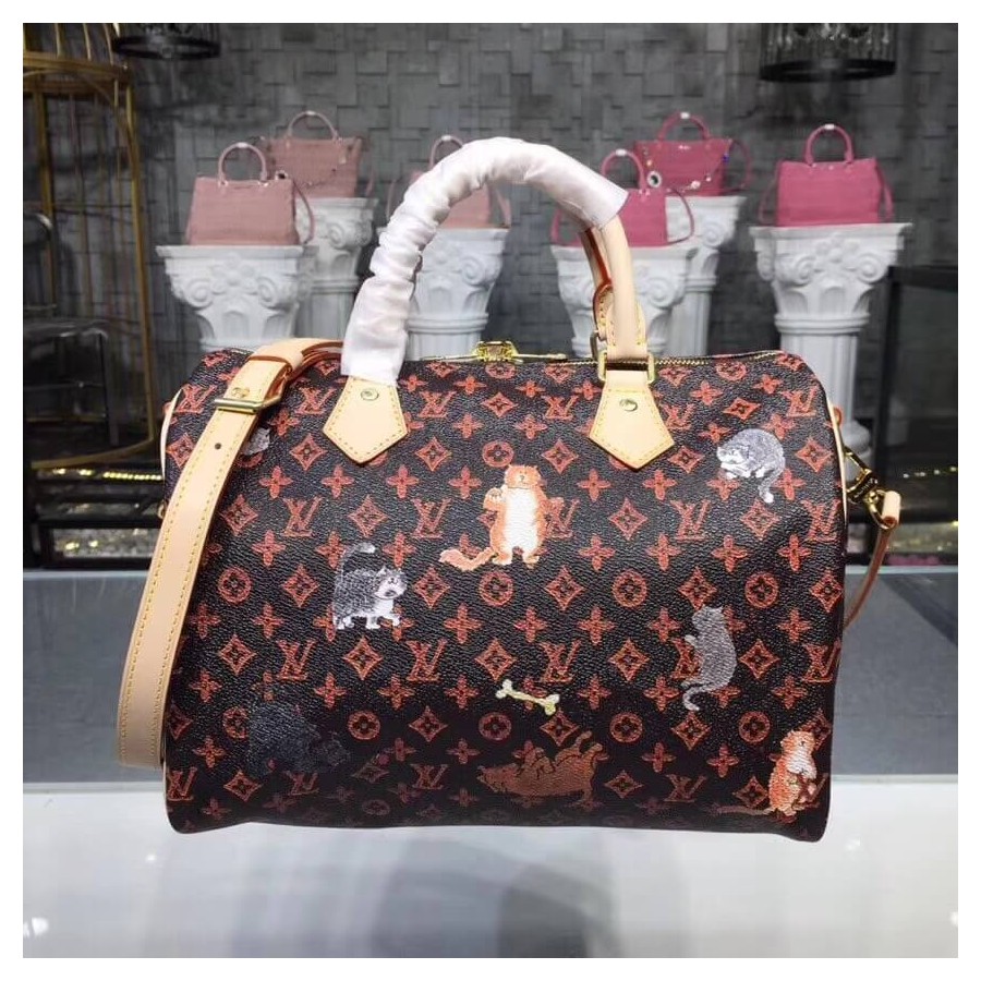 Louis Vuitton Speedy Bandouliere 30 M44401-3