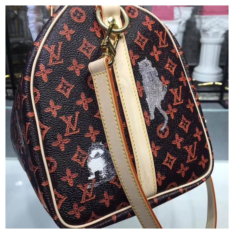 Louis Vuitton Speedy Bandouliere 30 M44401-5