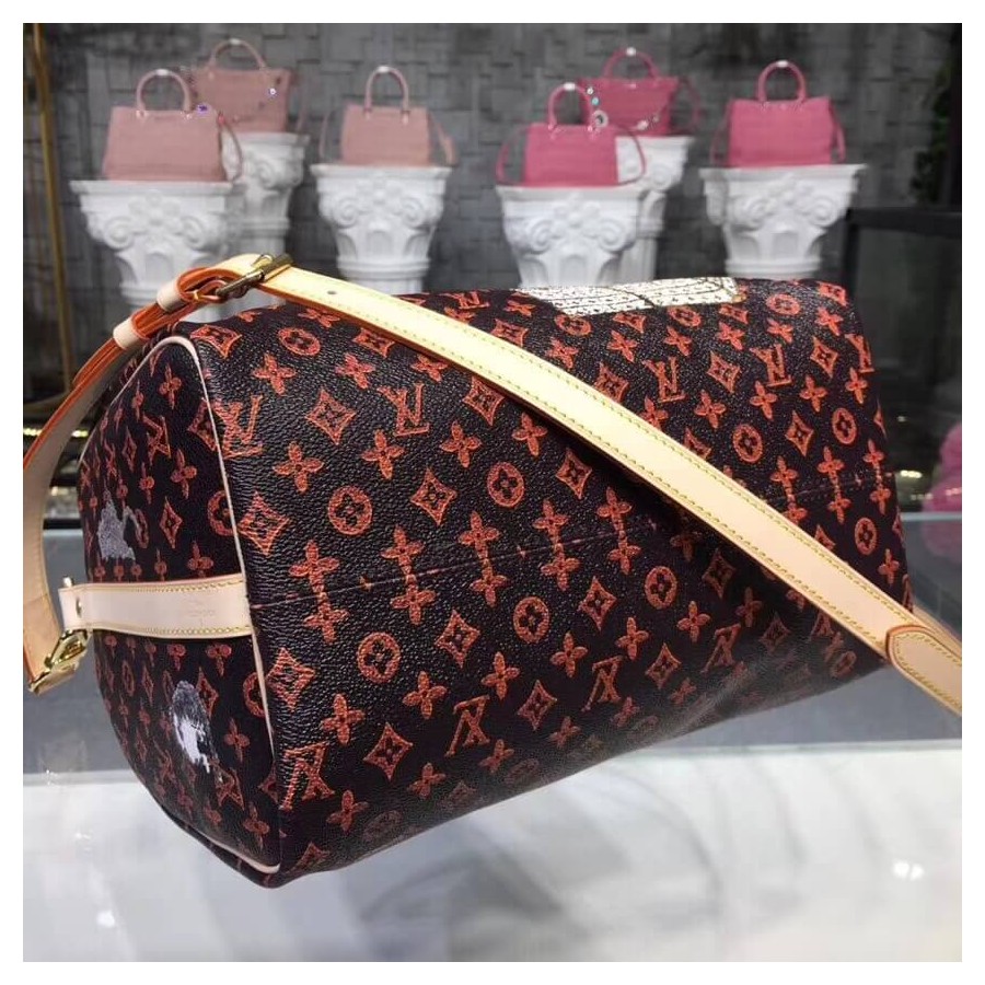 Louis Vuitton Speedy Bandouliere 30 M44401-6