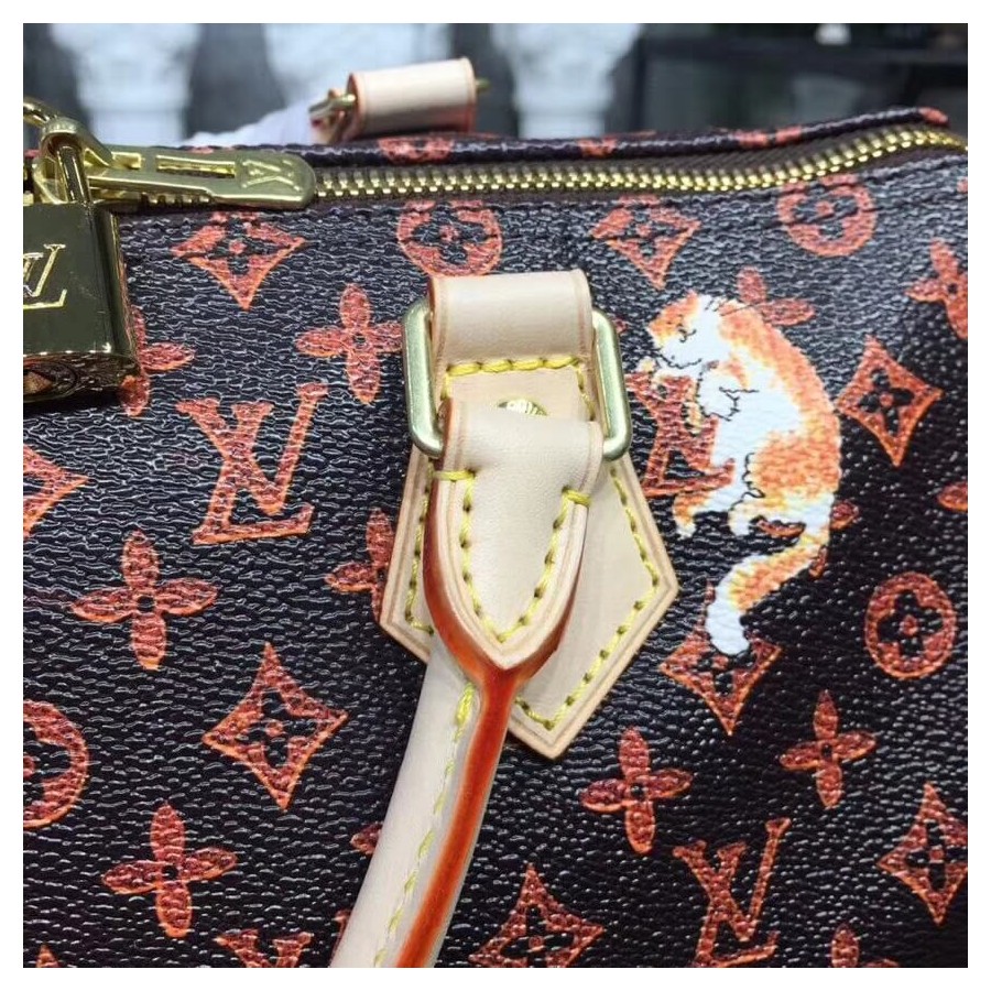 Louis Vuitton Speedy Bandouliere 30 M44401-7