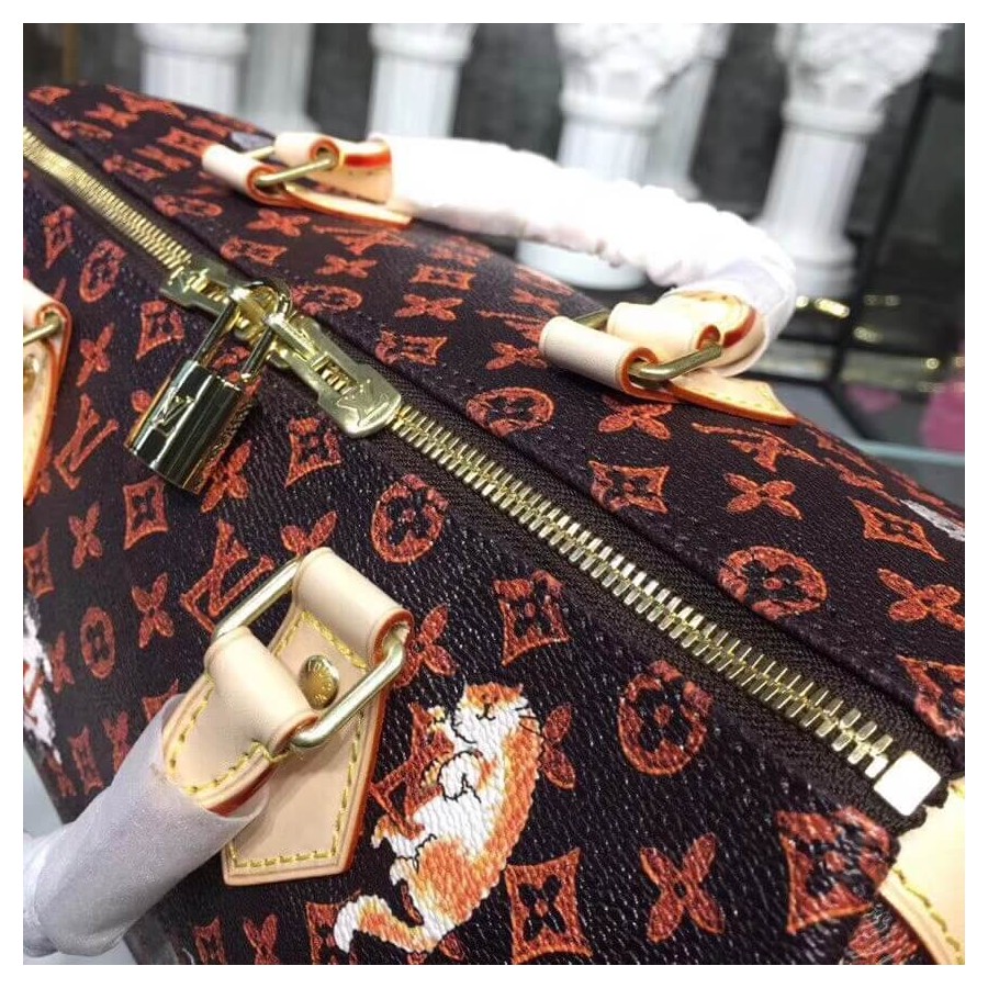 Louis Vuitton Speedy Bandouliere 30 M44401-8