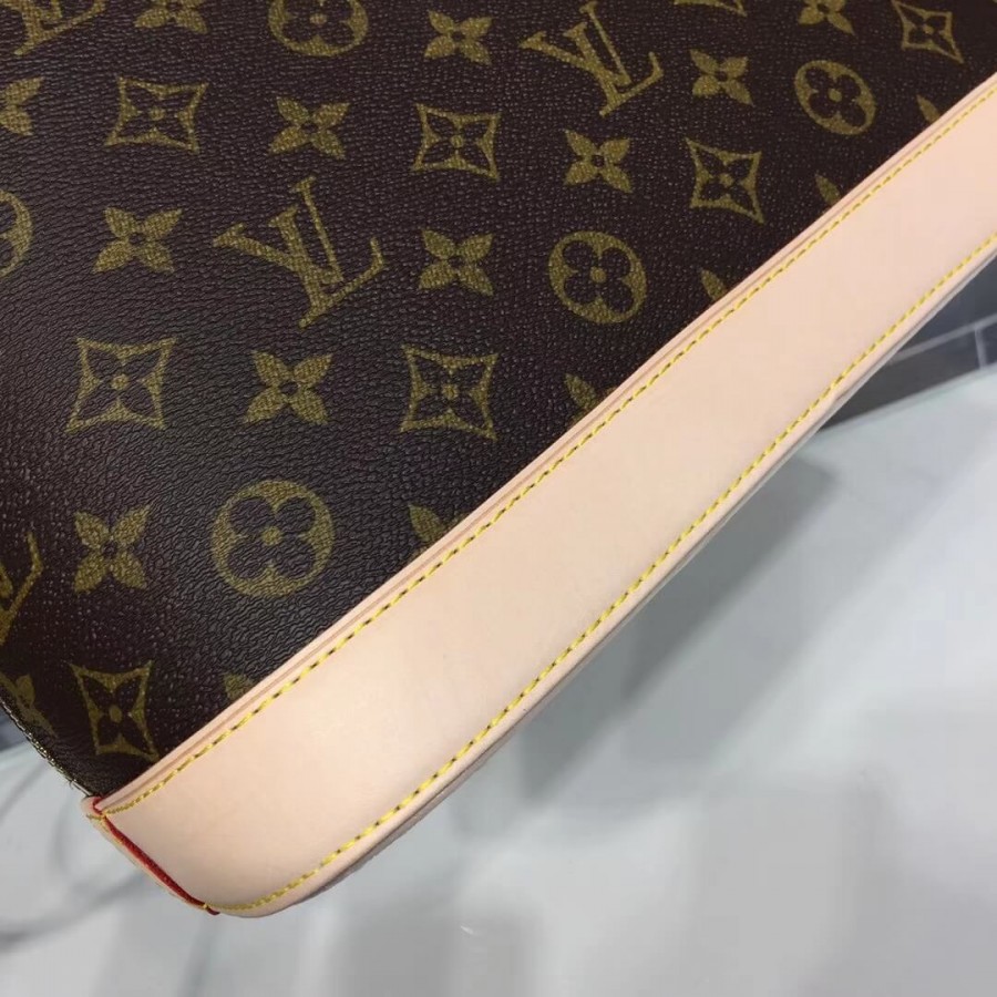 Luis Vuitton Monogram Canvas Alma PM M53151-5