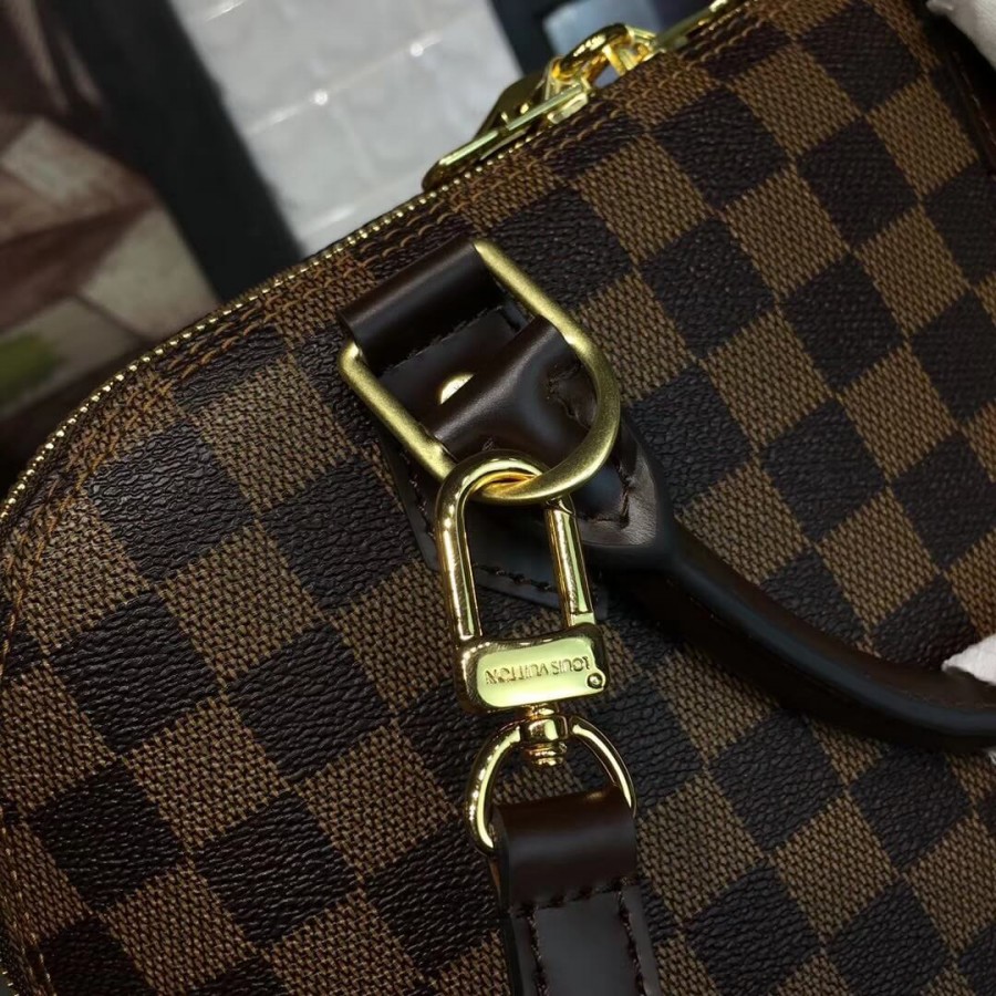 Louis Vuitton Damier Ebene Canvas Alma PM N53151-4