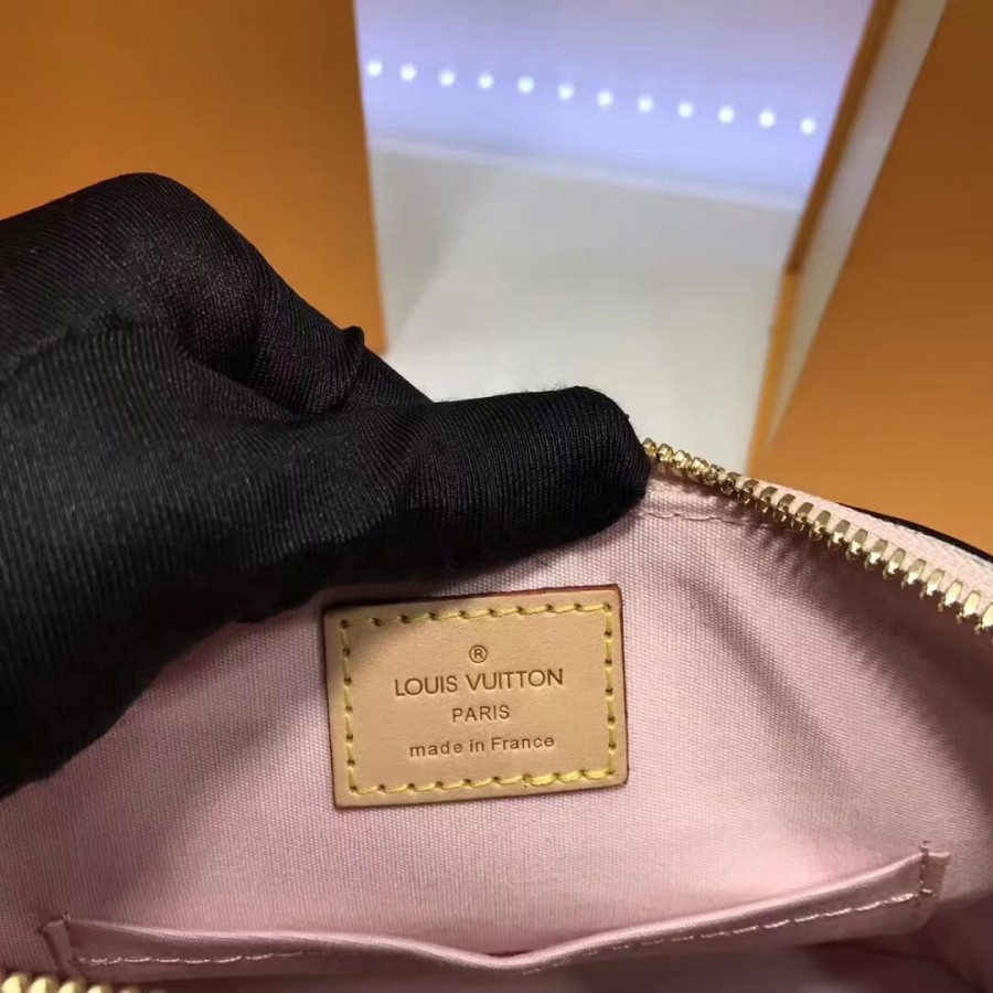 Louis Vuitton Monogram Vernis Alma BB M50415-9
