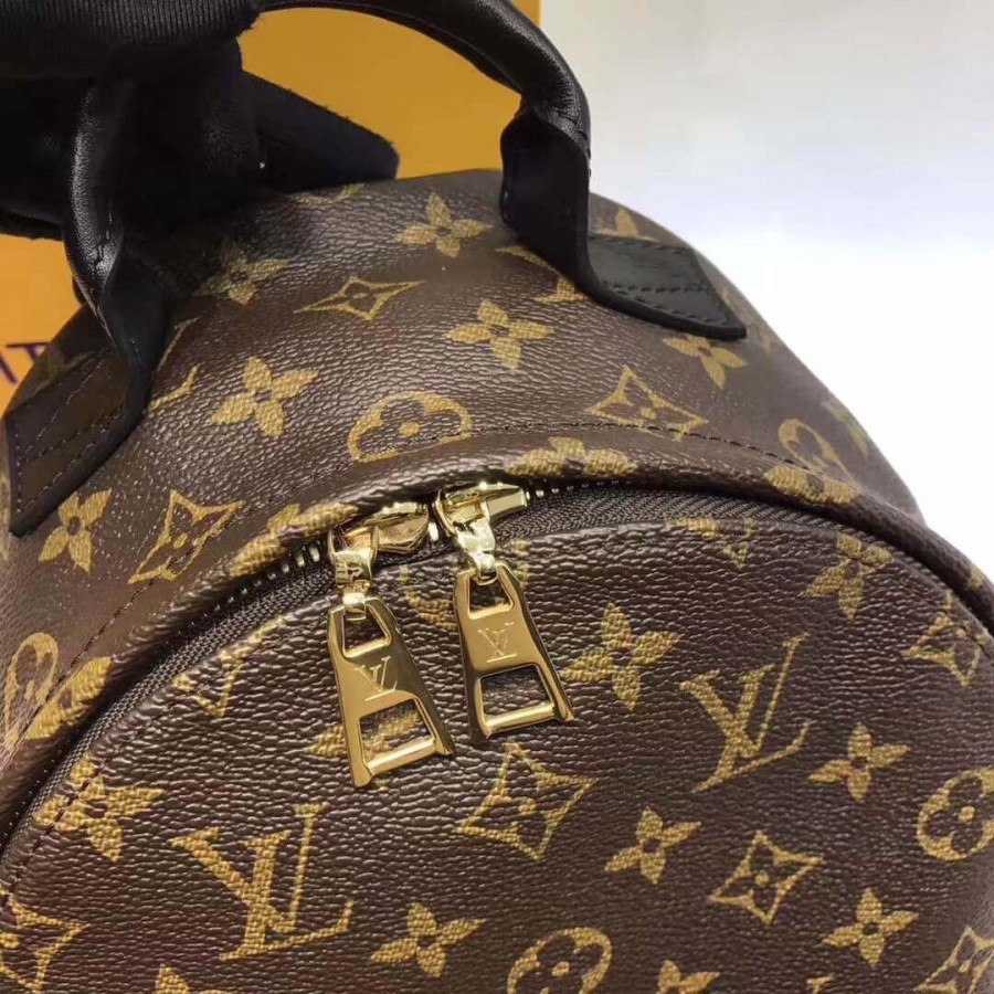 mochila Luis Vuitton Monogram Canvas Palm Springs PM M41560-3
