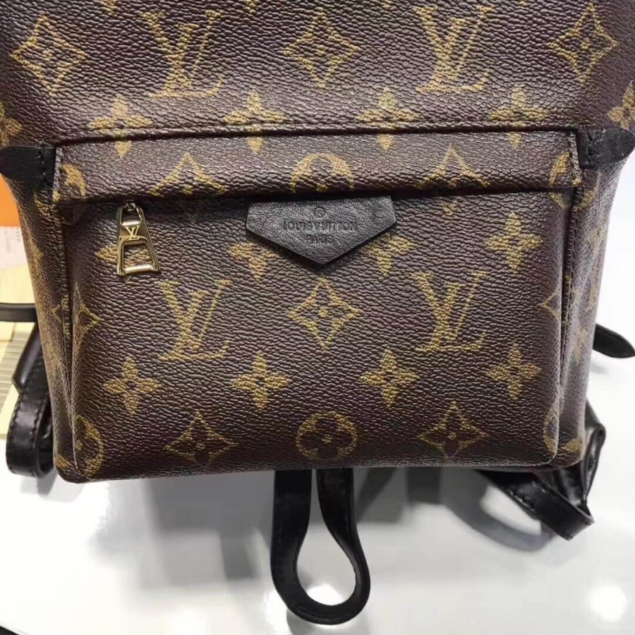 mochila Luis Vuitton Monogram Canvas Palm Springs PM M41560-4