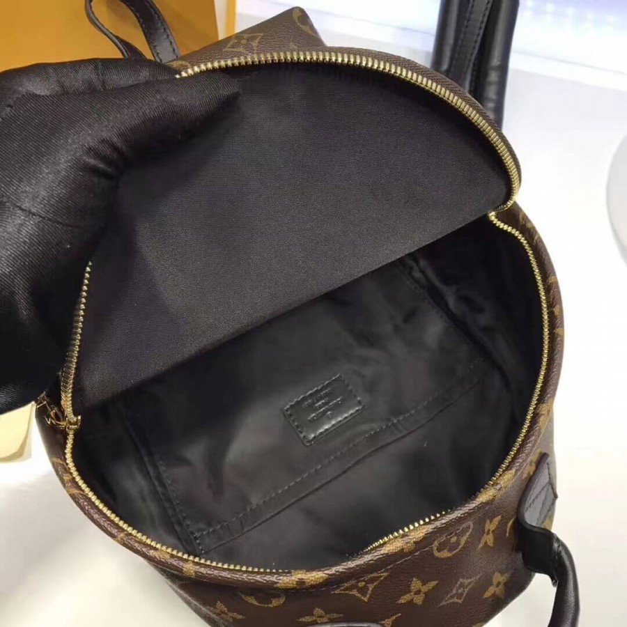mochila Luis Vuitton Monogram Canvas Palm Springs PM M41560-8