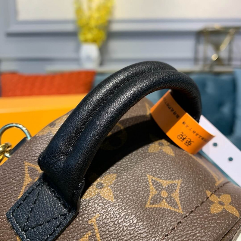 Louis Vuitton Monogram Canvas Palm Springs Mochila Mini M41562-6