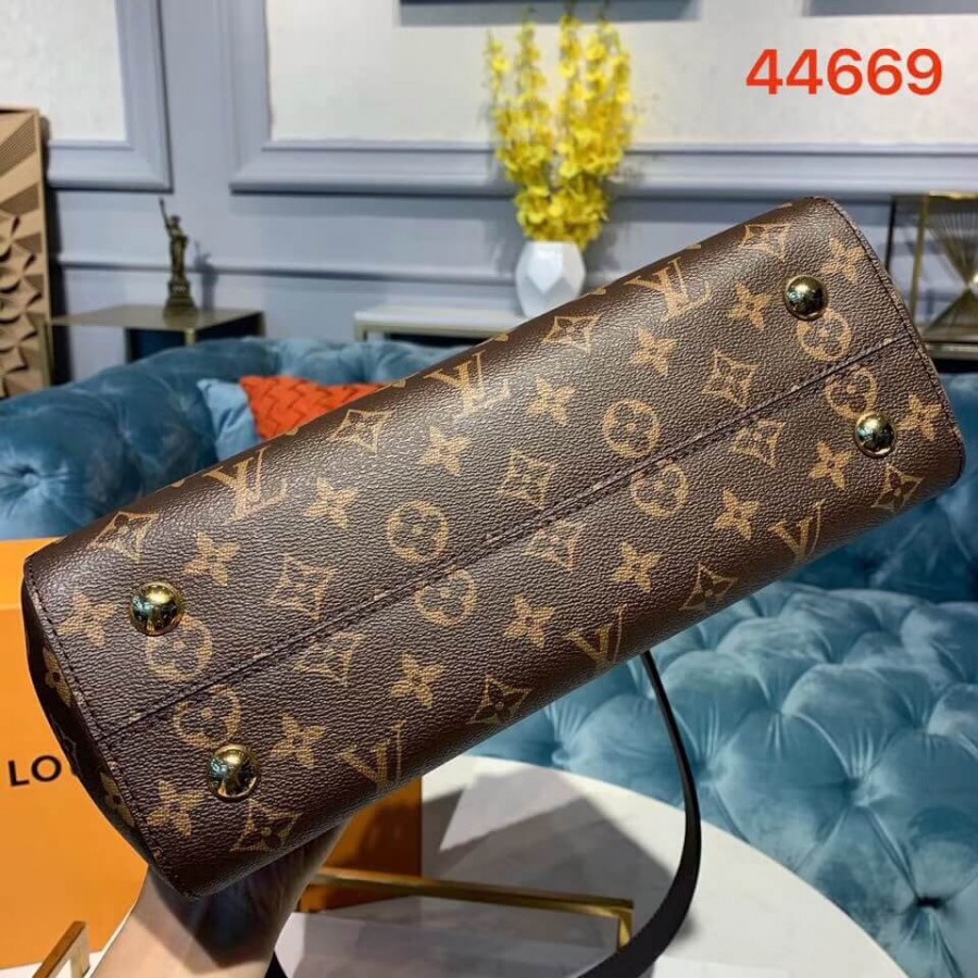 LUNIS VUITTON Monogram Canvas Cluny MM M44669-6