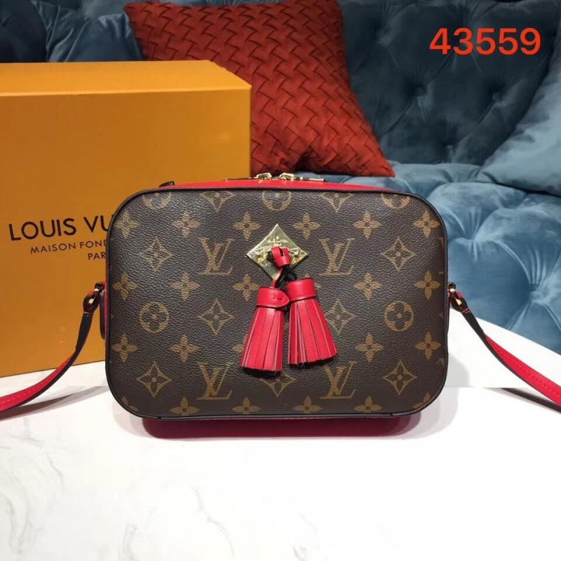 Louis Vuitton Monogram Canvas Saintonge M43559-1