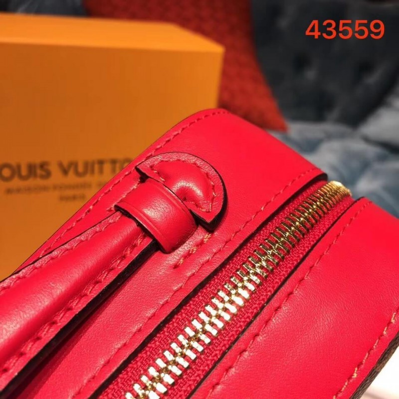 Louis Vuitton Monogram Canvas Saintonge M43559-8