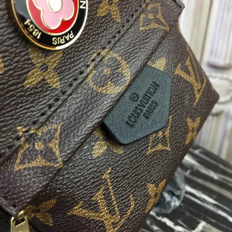 Louis Vuitton Monogram Canvas Palm Springs Mochila Mini M41562-1-7