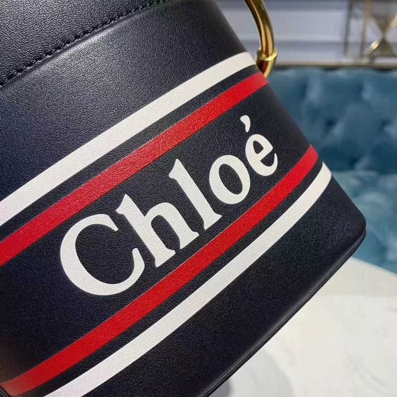 Chloe Roy Mini Bolsa de cuero liso 3S508-5