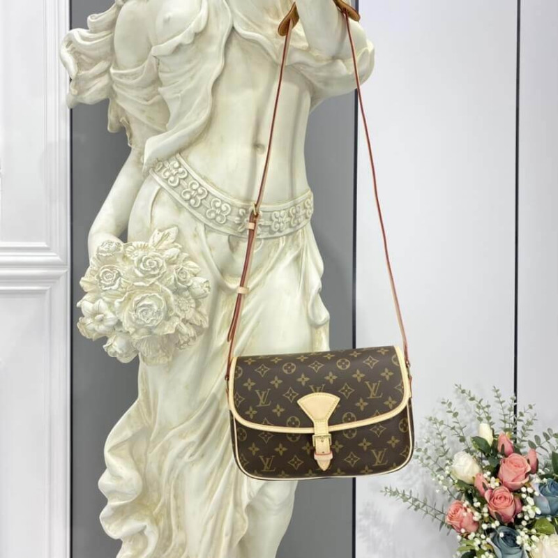Louis Vuitton Monogram SOLOGNE Shoulder Bolsa M42250-4