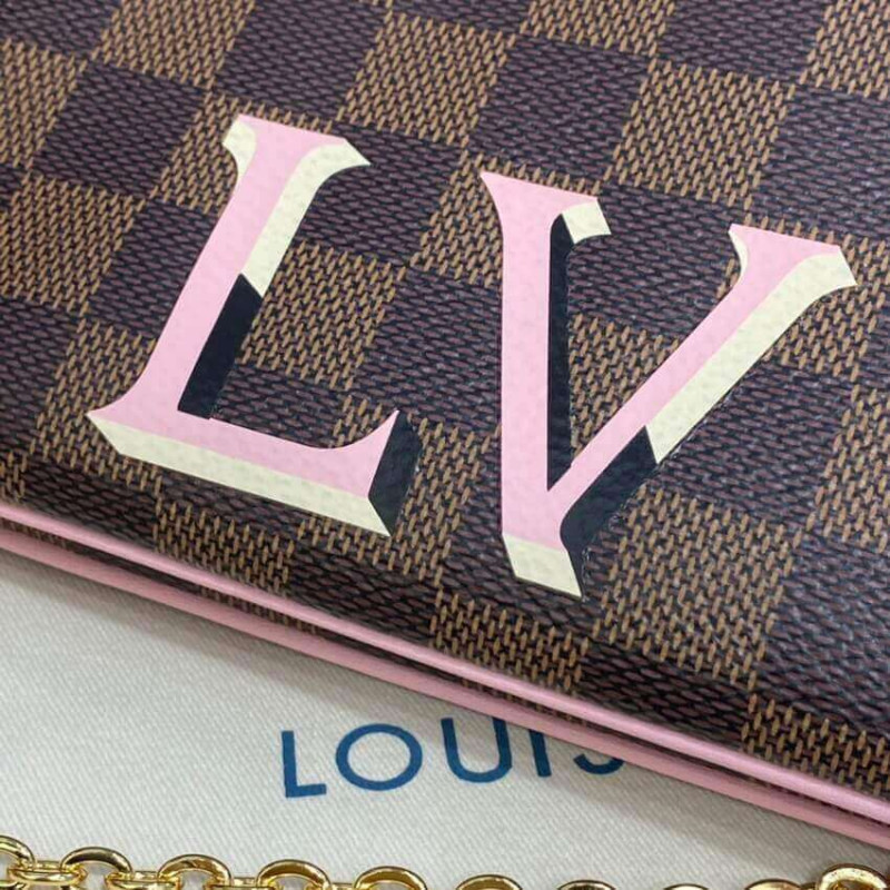 Louis Vuitton Damier Ebene Double Zip Pochette N60254-8