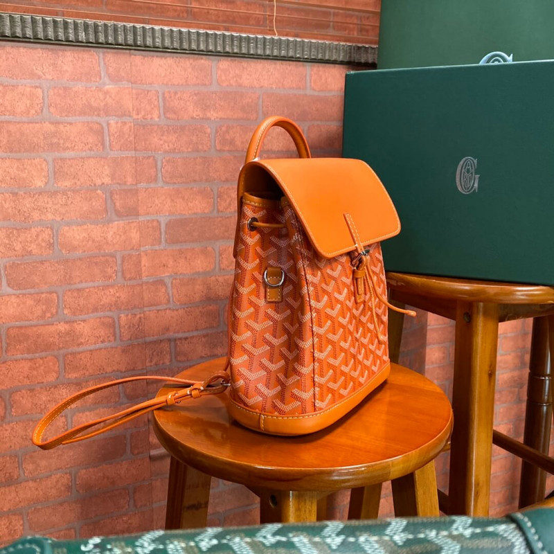 Goyard Alpin Mini mochila 489882-1