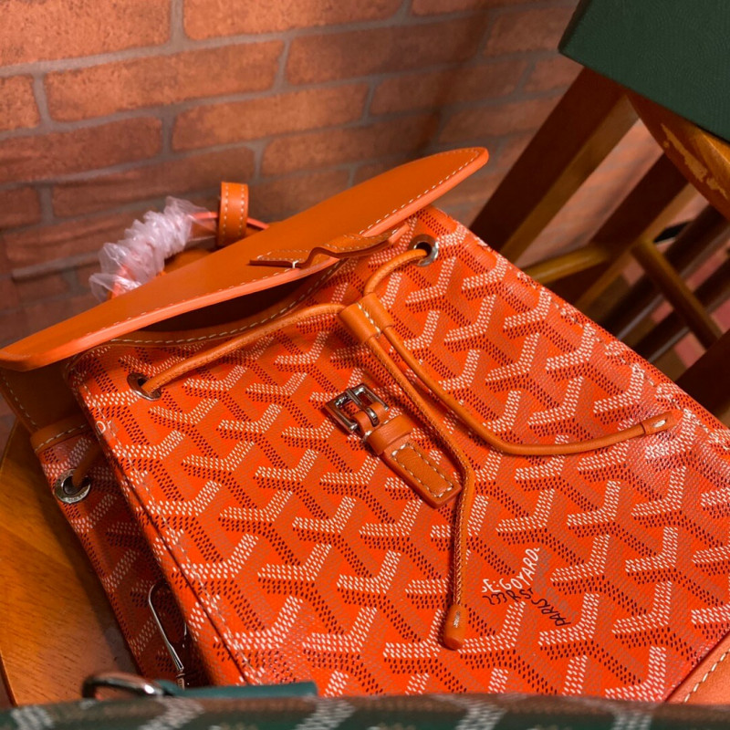 Goyard Alpin Mini mochila 489882-5