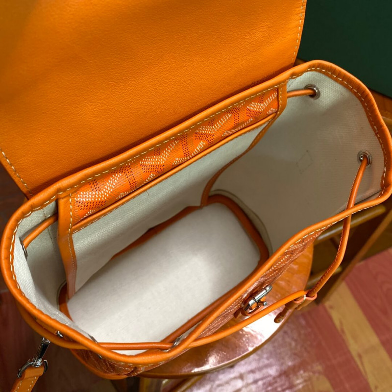Goyard Alpin Mini mochila 489882-6