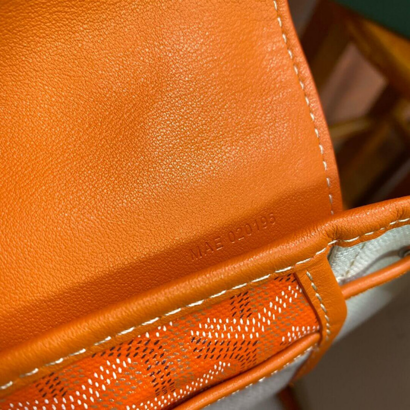Goyard Alpin Mini mochila 489882-7