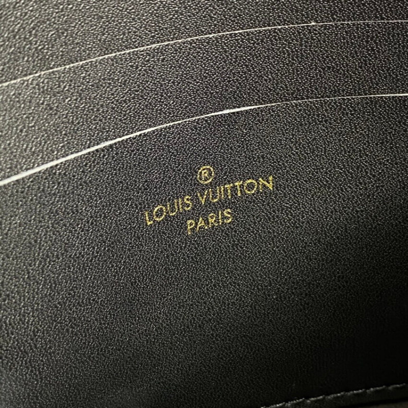 Louis Vuitton Monogram Double Zip Pochette M69203-11