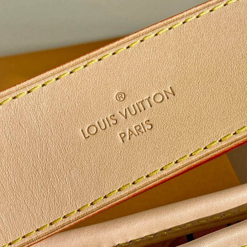 Louis Vuitton Damier Azur Canvas Delightful MM N41448-10