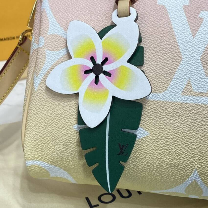 Louis Vuitton Speedy Bandouliere 25 M45722 M45724-7