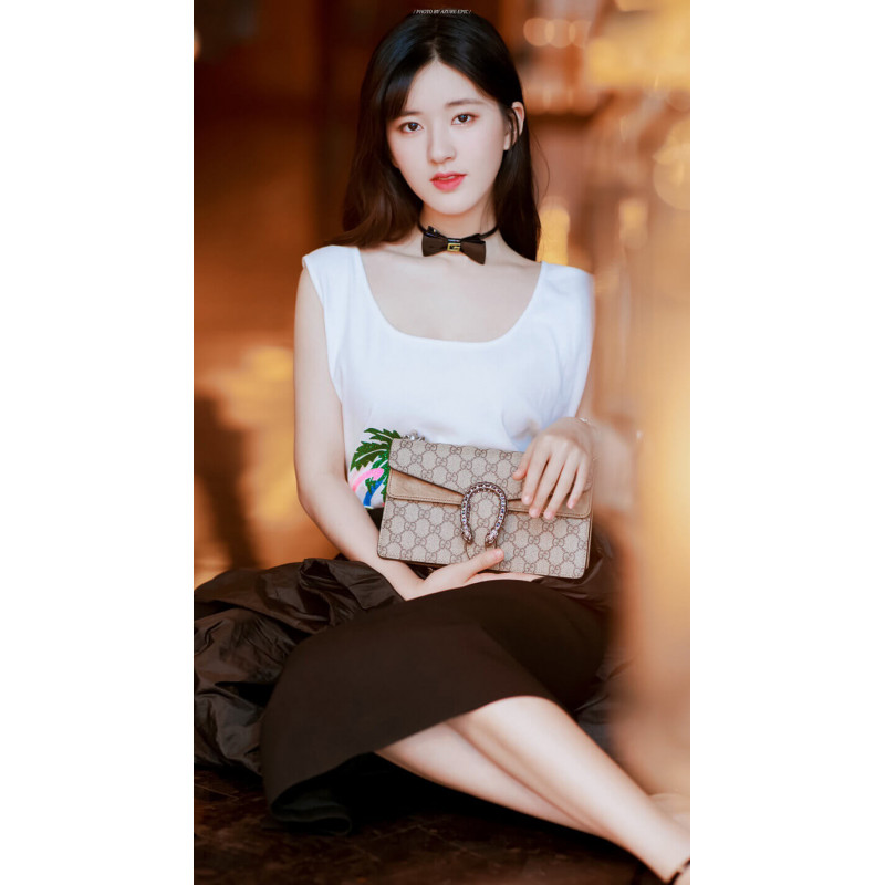 Gucci Dionysus GG Canvas Small Shoulder Bolsa 499623-1