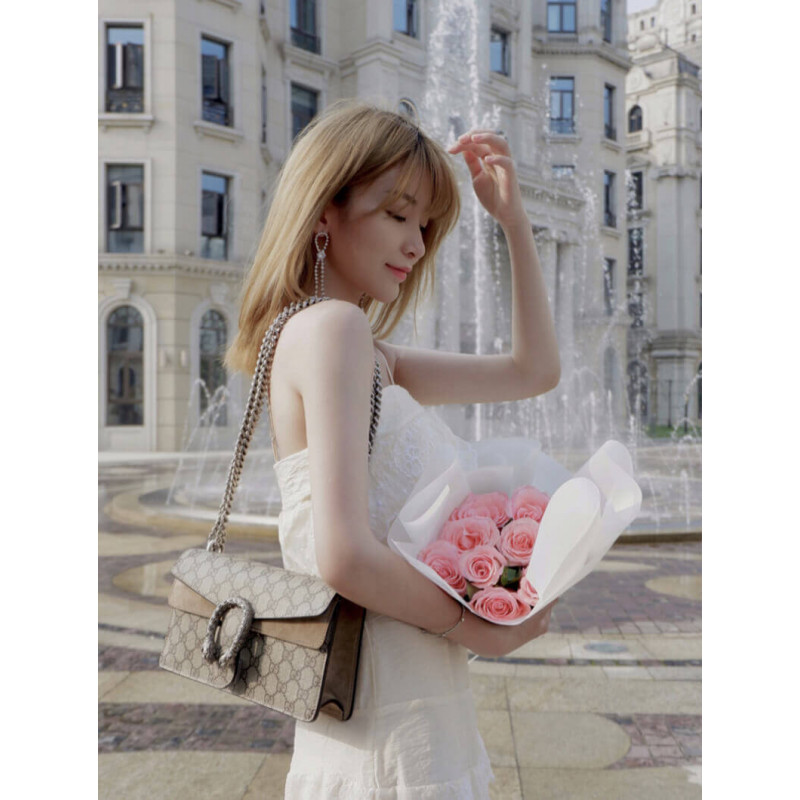 Gucci Dionysus GG Canvas Small Shoulder Bolsa 499623-2