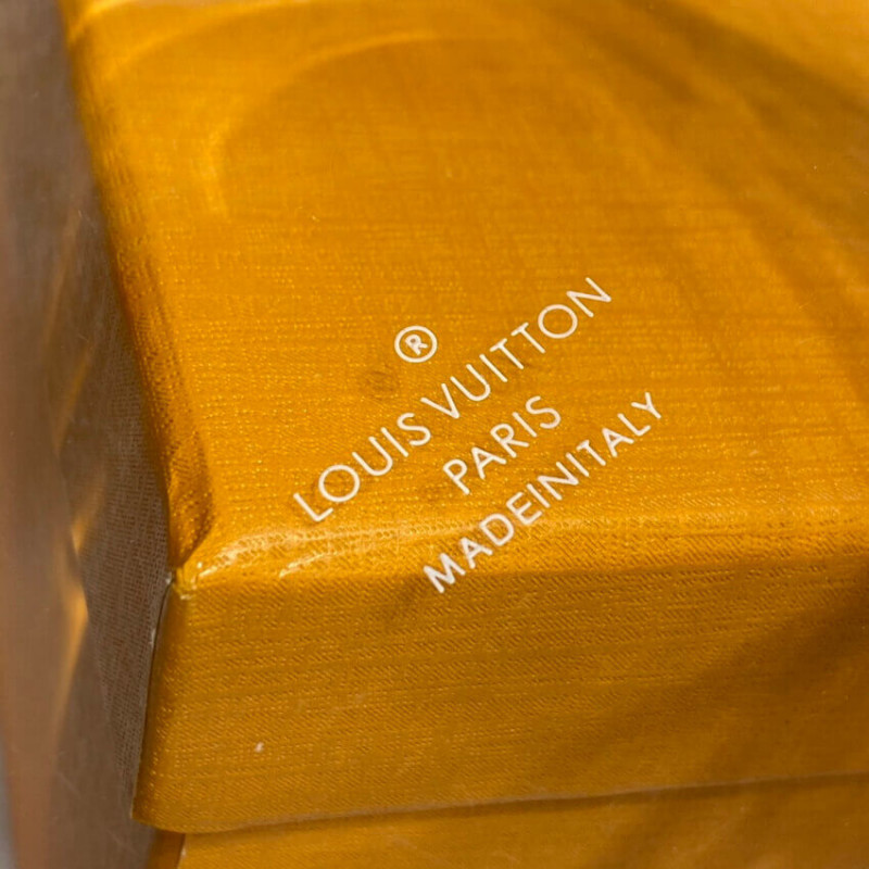 Louis Vuitton Plexiglass Scott Box GI0203-10
