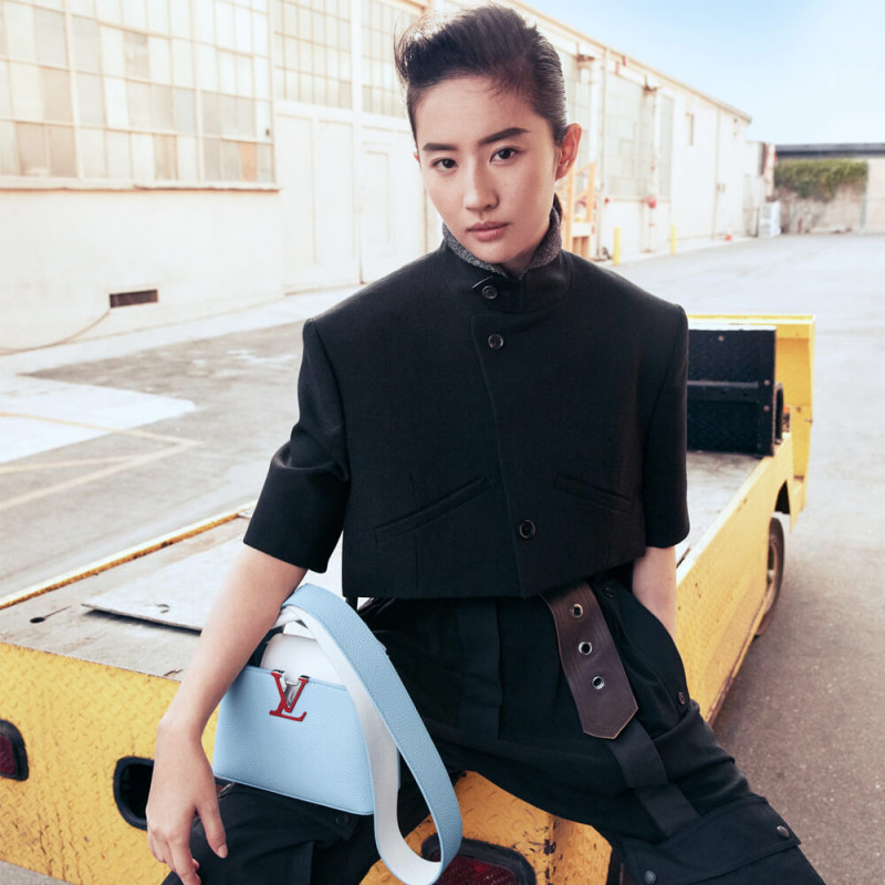 Louis Vuitton Taurillon Cuero Capucines Mini M57519-1