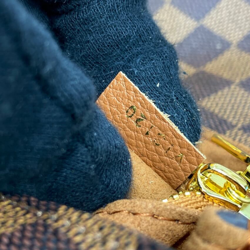 Louis Vuitton Damier Ebene Canvas Vavin PM N40110 Caramelo-15