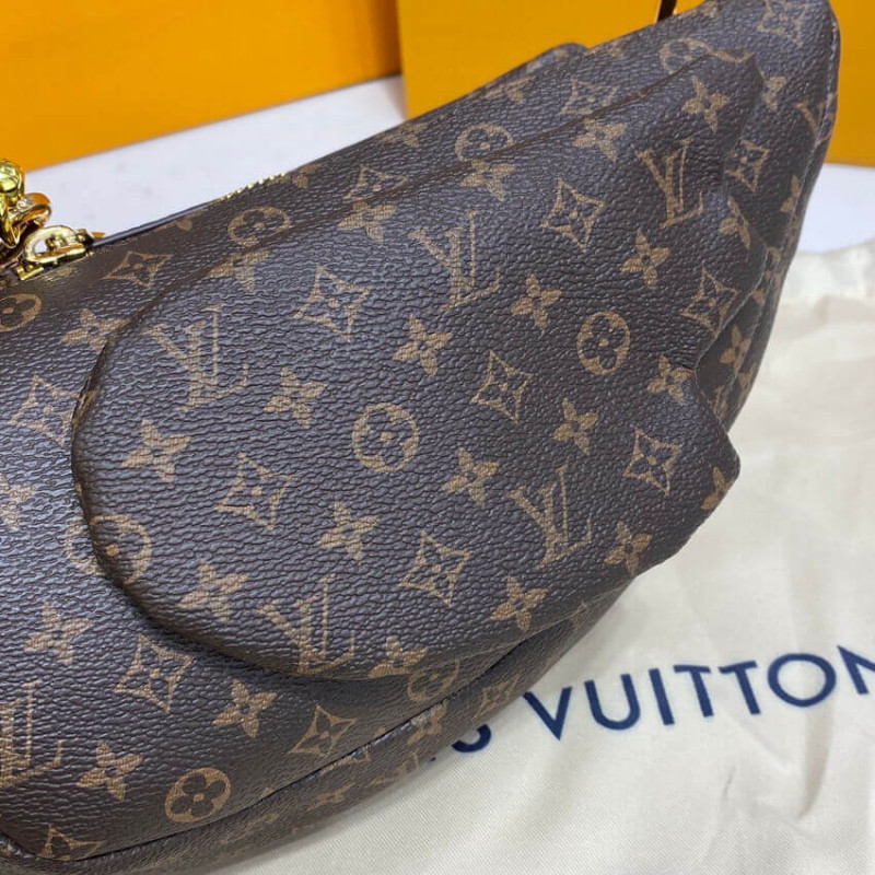 Louis Vuitton Monogram Canvas Duck Bolsa M45990-11