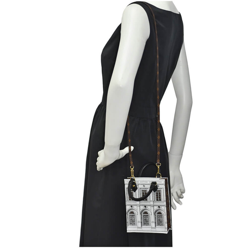Louis Vuitton impreso cuero de ternero Matte Petit Sac Plat M80991-2