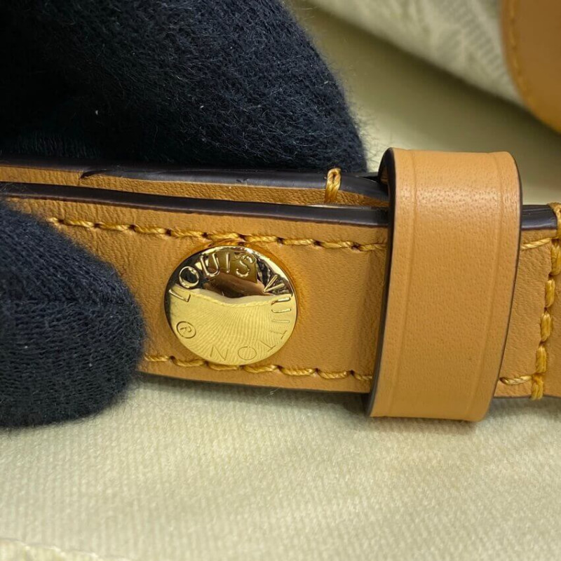 Louis Vuitton desde 1854 Dauphine MM M59483-12
